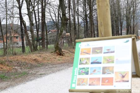 Z zasaditvijo dreves smo uradno odprli kolesarsko povezavo Kamnik–Godič (93)